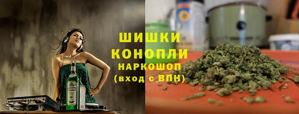 гидра Касимов