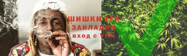 гидра Касимов
