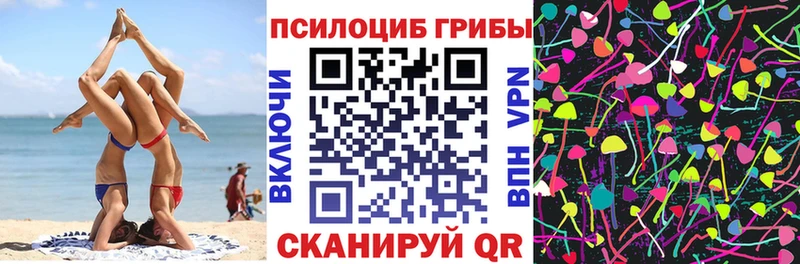 Галлюциногенные грибы мицелий  Купить закладки  Бежецк 